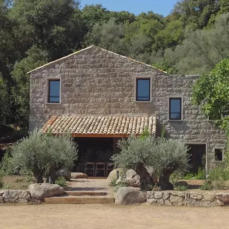 Spacieuse Avec Piscine Privee A Porto-vecchio * بورتو فيكشْيو