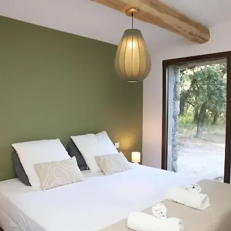 Spacieuse Avec Piscine Privee A Porto-vecchio